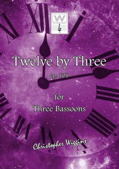 12 By 3 Download