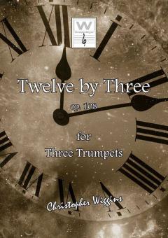 12 By 3 Download