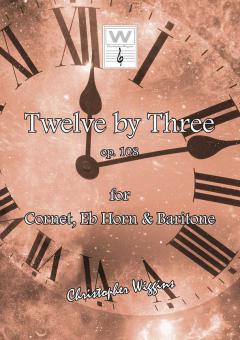 12 By 3 Download