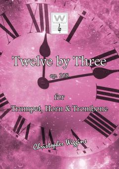 12 By 3 Download