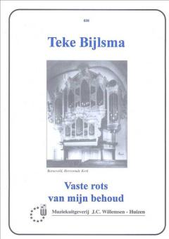 Vaste Rots Van Mijn Behoud 