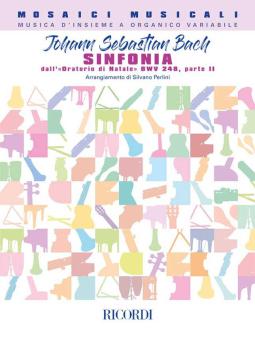 Symphony from the Christmas Oratorio BWV 248 part II 