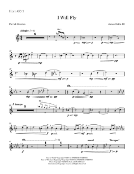 I Will Fly (Full Orchestration) 