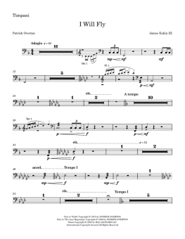 I Will Fly (Full Orchestration) 