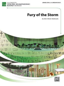 Fury of the Storm 