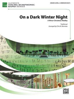 On a Dark Winter Night 