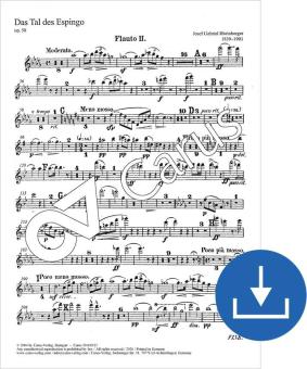 Das Tal des Espingo op. 50 