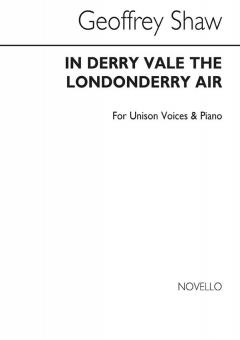 In Derry Vale 