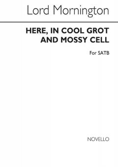 Here, In Cool Grot And Mossy Cell 