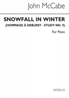 Snowfall in Winter 