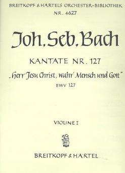 Herr Jesu Christ, wahr' Mensch und Gott 