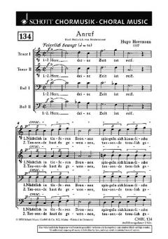 Anruf Standard