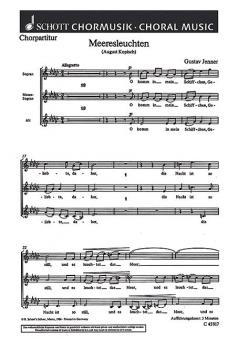 Meeresleuchten Standard
