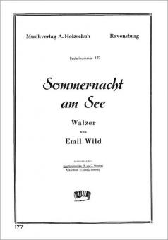 Sommernacht am See 