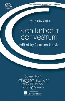 Non turbeter cor vestrum 