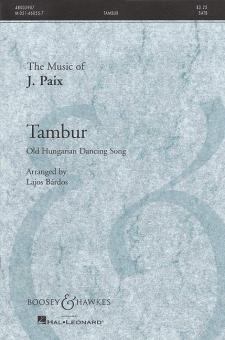 Tambur 