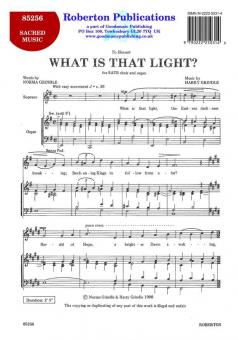 What Is That Light? 