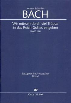 Wir müssen durch viel Trübsal 