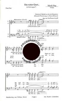 Roter Gurt 