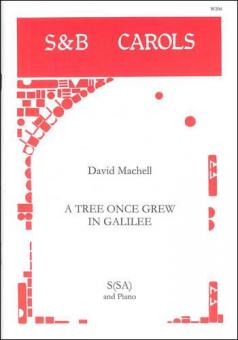 A Tree Once Grew In Galilee 