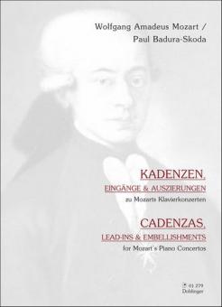 Cadenzas 