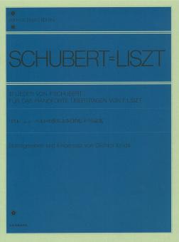 13 Lieder 