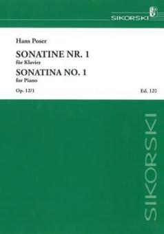 Pop Accordion 120 