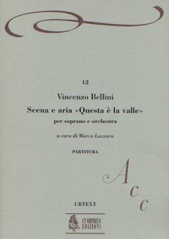 Scena e Aria 'Questa è la valle... Quando incise su quel marmo' 
