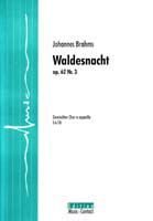 Waldesnacht 