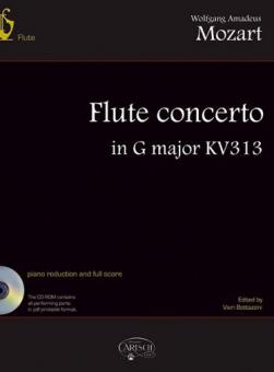 Flute Concert K313 