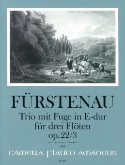 Trio with fugue op. 22/3 in E flat major op. 22/3 