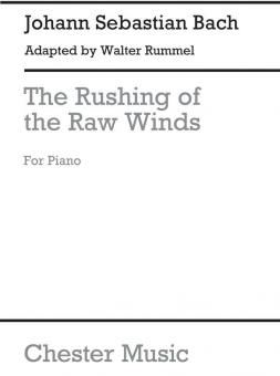 The Rushing of The Raw Winds 