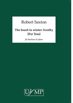 The Beach in Winter 