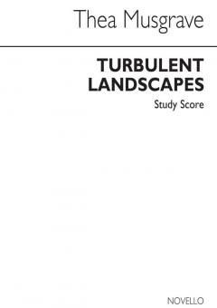 Turbulent Landscapes 