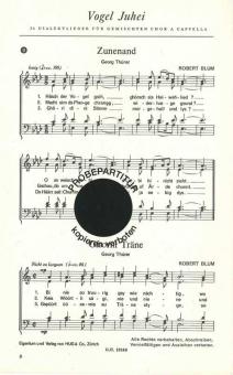 Vogel juhei No 6 