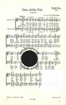 Stille Tal 