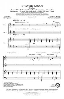 Into The Woods (Medley) Standard