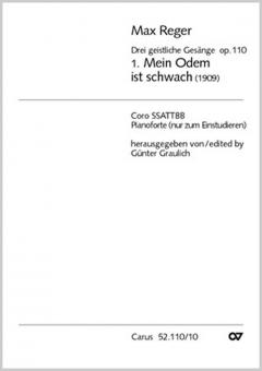Mein Odem ist schwach 