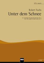 Unter dem Schnee 