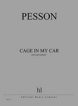 cage in my car 
