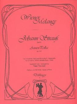 Annen-Polka op. 117 