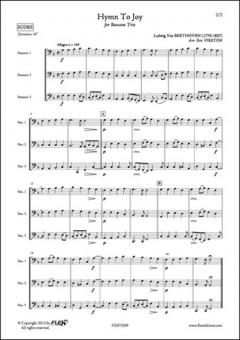 Hymn To Joy 