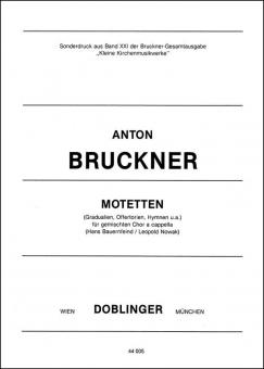 Motets 