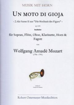 Un moto di gioja G-Dur KV 579 (2. Akt, Szene II aus "Die Hochzeit des Figaro") 