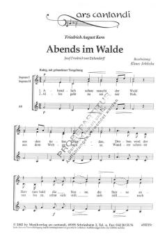Abends im Walde 
