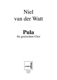 Pula Nr. 4 Standard