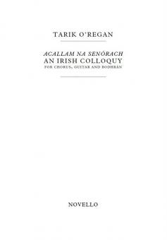 Acallam na Senórach 