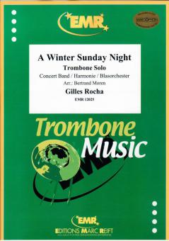 A Winter Sunday Night Standard