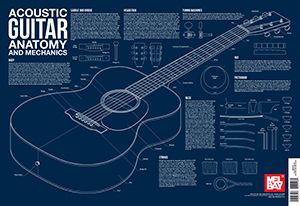 Acoustic Guitar Anatomy And Mechanics Wall Chart 