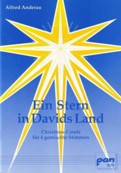 Ein Stern in Davids Land 